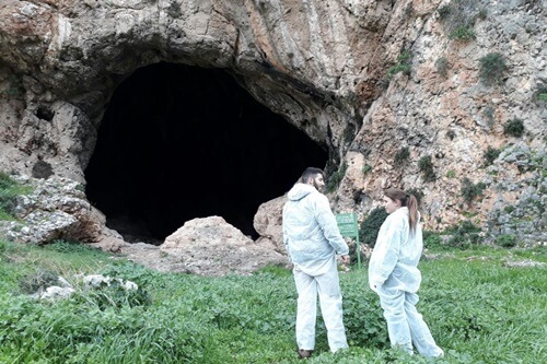 טרקטורוני כלנית